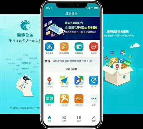 鷹眼智客App 837e 引領互聯(lián)網信息服務的創(chuàng)新力量